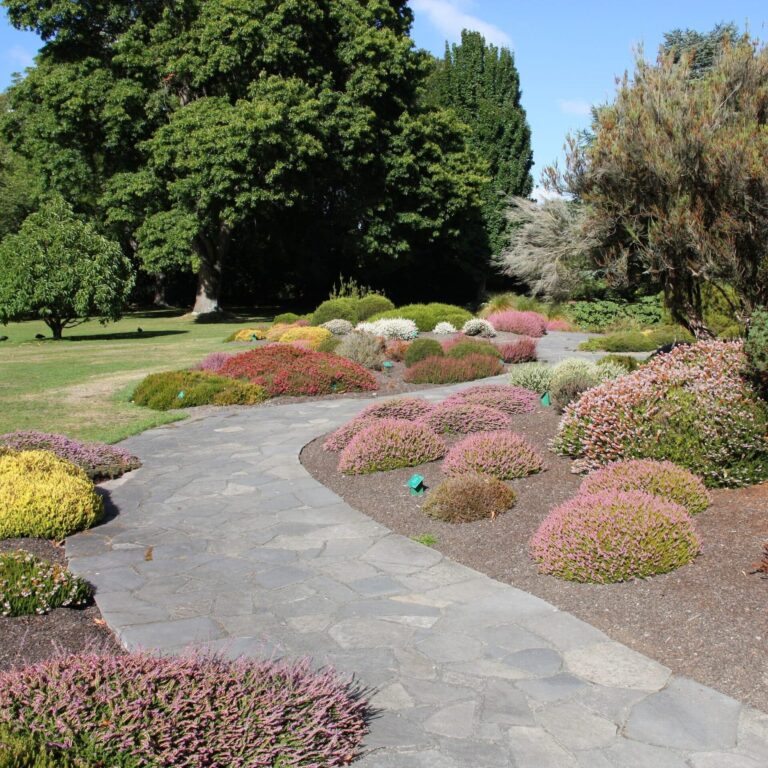 Curved garden walkway landscape design and installation in Oklahoma