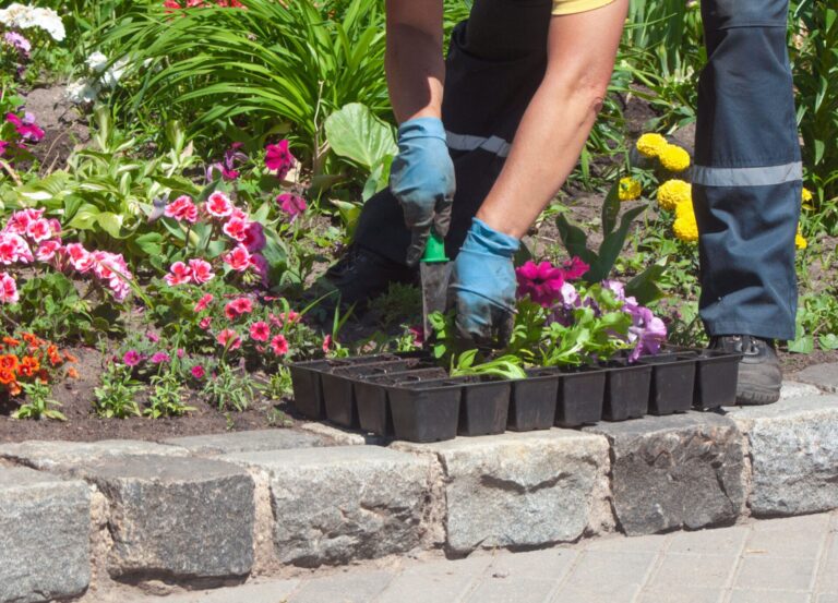 Flower bed planting and landscape installation service in Oklahoma