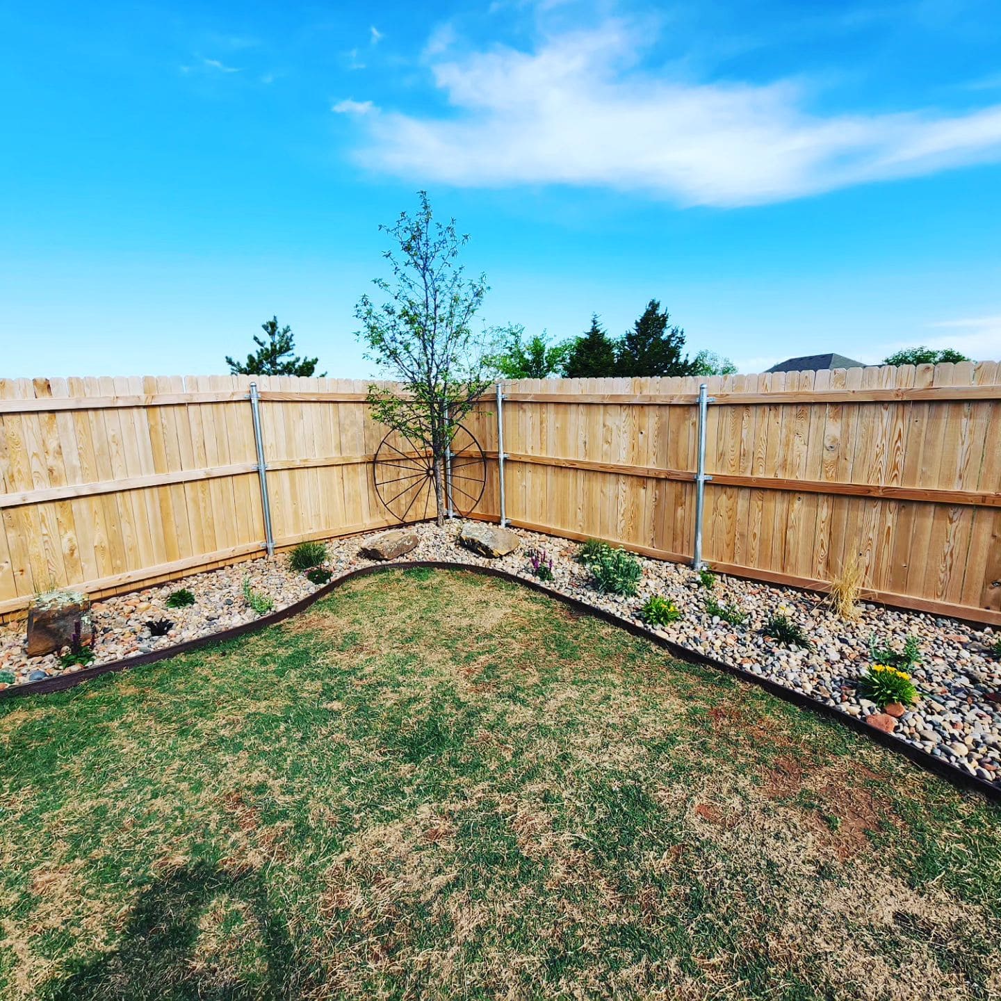 New cedar privacy fence bordering a landscaped backyard