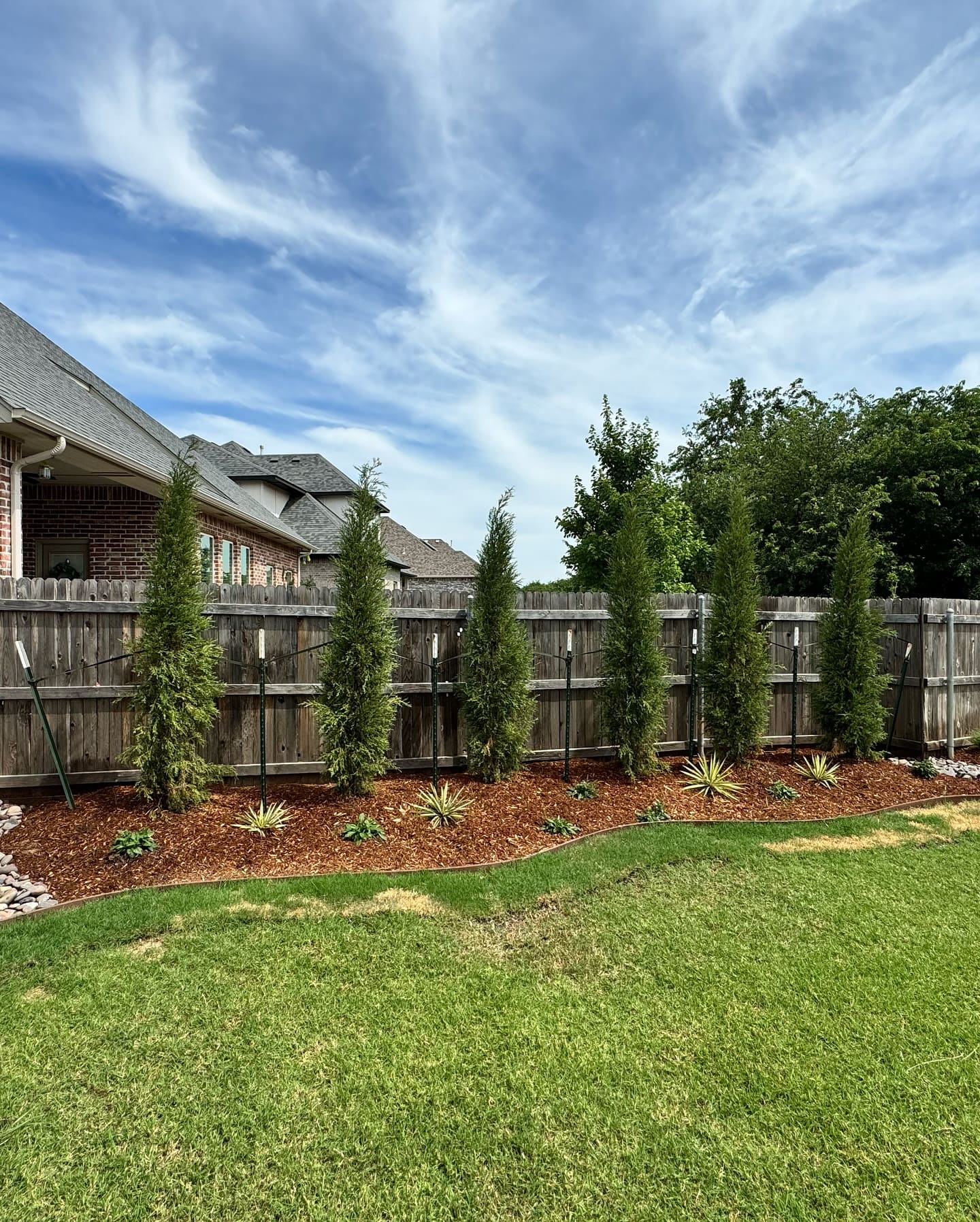 Privacy tree planting for residential landscape installation in Oklahoma