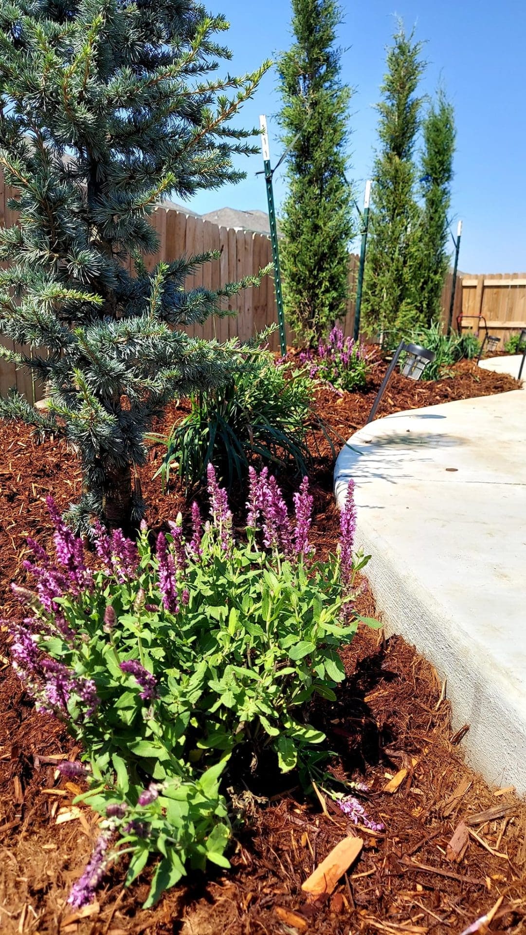 Poolside flower bed landscape installation with shrubs in Oklahoma