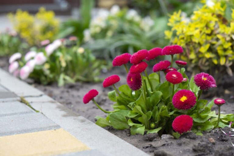 Seasonal flower planting in residential flower beds in Oklahoma