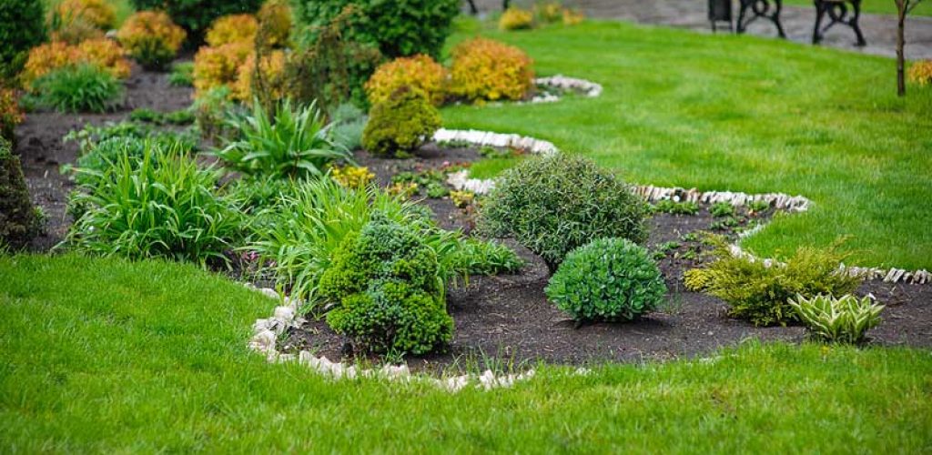 Garden Bed Installation